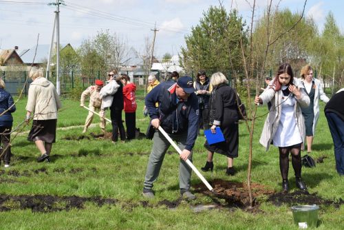 В честь героев: торжественный митинг и посадка деревьев в Шилнебашской школе