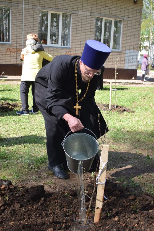 В Тукаевском районе высадили «Сад памяти» в честь героев прошлого и настоящего