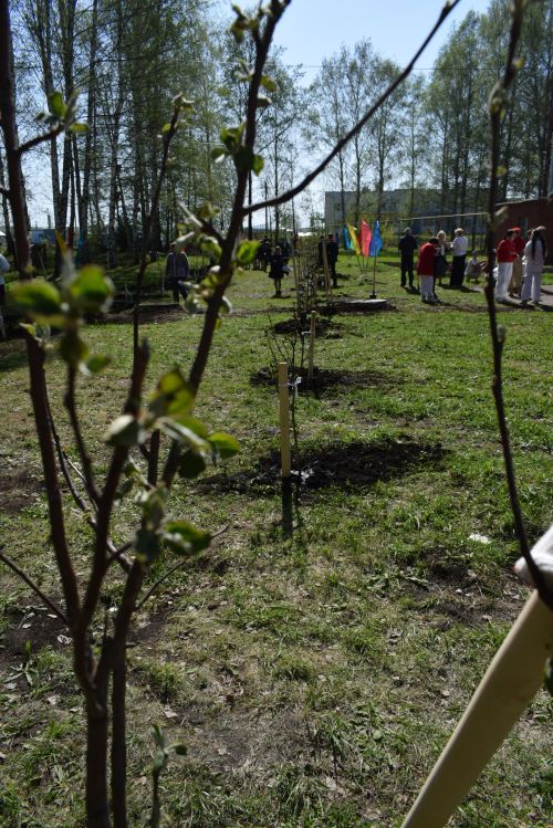 В Тукаевском районе высадили «Сад памяти» в честь героев прошлого и настоящего
