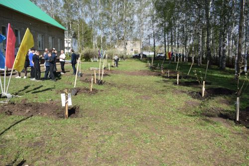В Тукаевском районе высадили «Сад памяти» в честь героев прошлого и настоящего