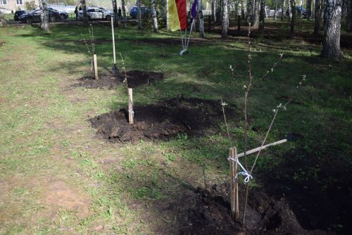 В Тукаевском районе высадили «Сад памяти» в честь героев прошлого и настоящего