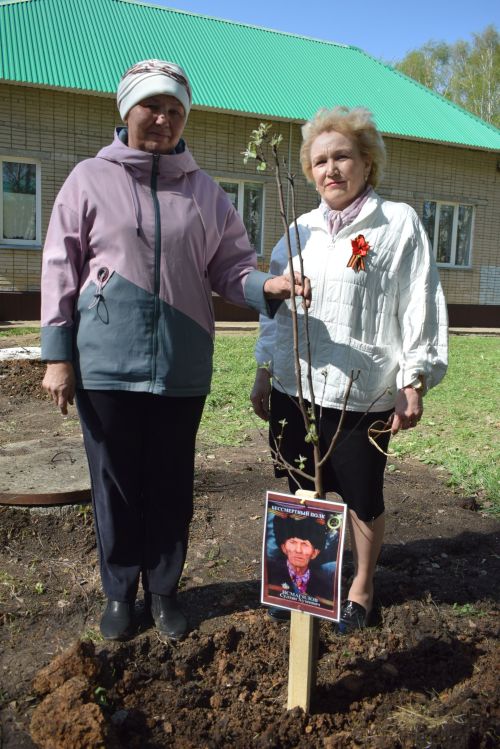 В Тукаевском районе высадили «Сад памяти» в честь героев прошлого и настоящего