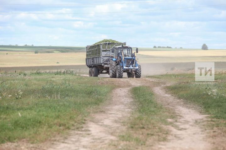 Татарстанда авыл хуҗалыгы тулаем продукциясе 19 млрд сумга кимегән