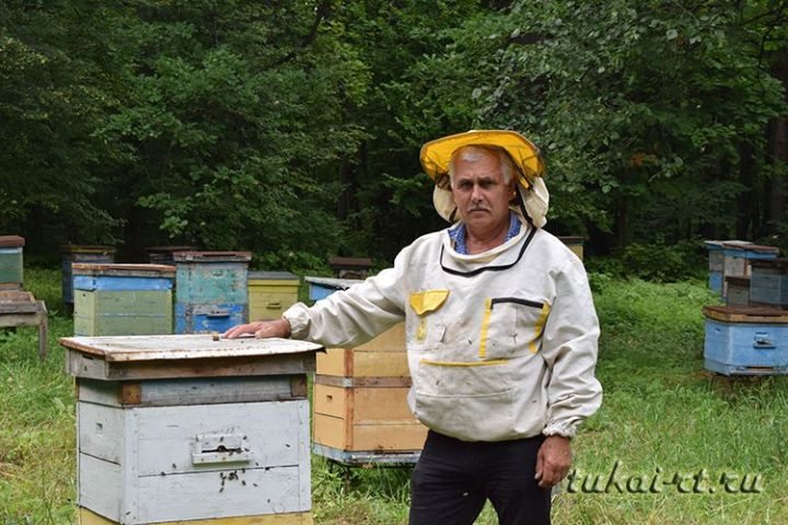 «В этом году лето не для пчел»