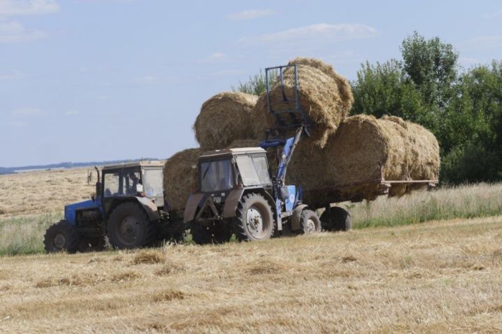 Министр урынбасары Ришат Хәбипов: «Пай җирләре өчен түләү арта»