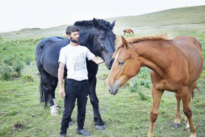 Альберт Сиразетдинов: «Нужно искренне любить лошадей, без любви какая работа?!»