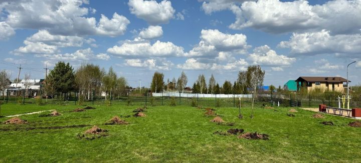 На территории Шильнебашской школы состоялось обустройство участка под будущий яблоневый сад