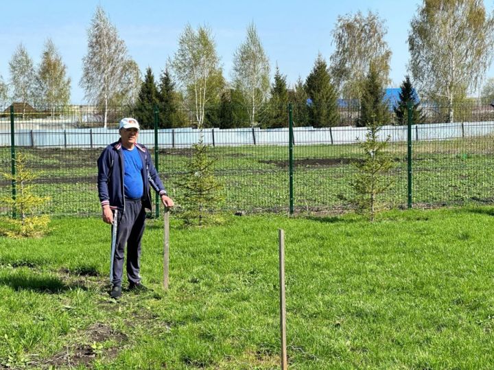 На территории Шильнебашской школы состоялось обустройство участка под будущий яблоневый сад