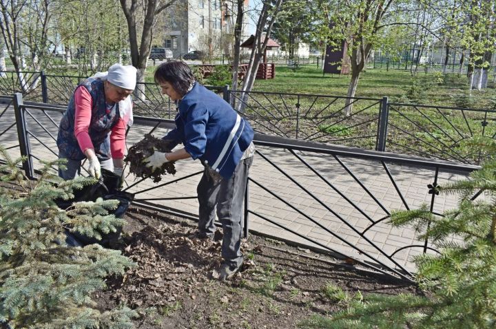 В Князевском сельском доме культуры прошла экологическая акция “сделаем посёлок цветущим”