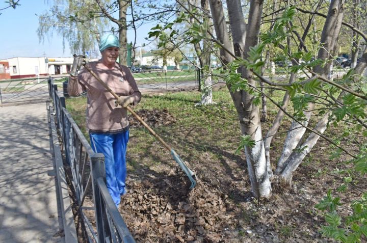В Князевском сельском доме культуры прошла экологическая акция “сделаем посёлок цветущим”
