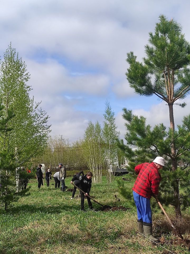 На территории посёлка Новый была организована акция «Сад Памяти»