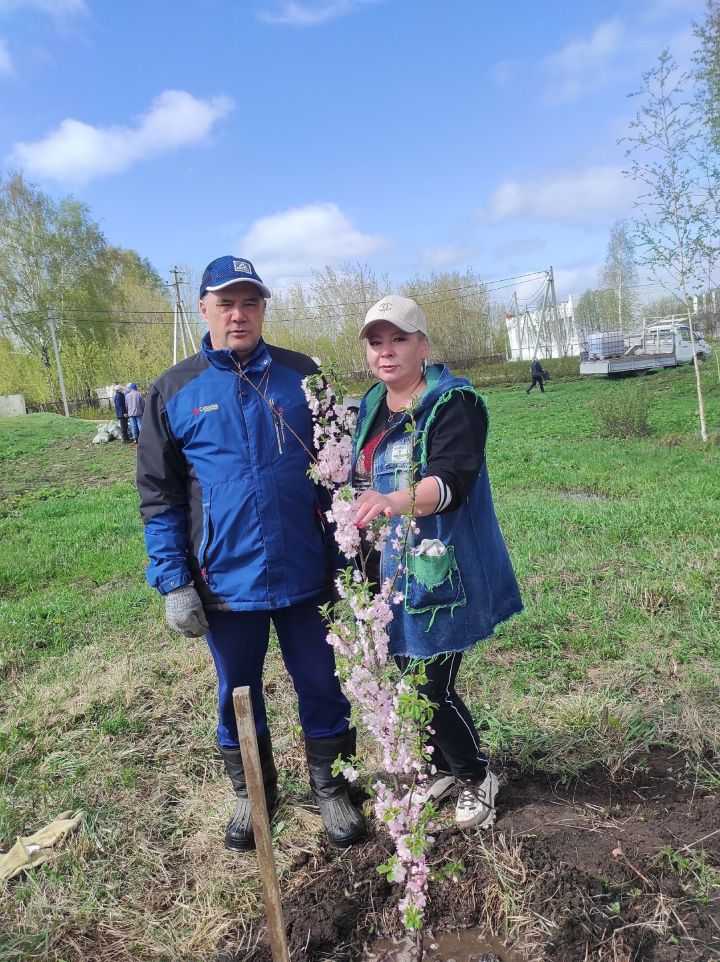На территории посёлка Новый была организована акция «Сад Памяти»