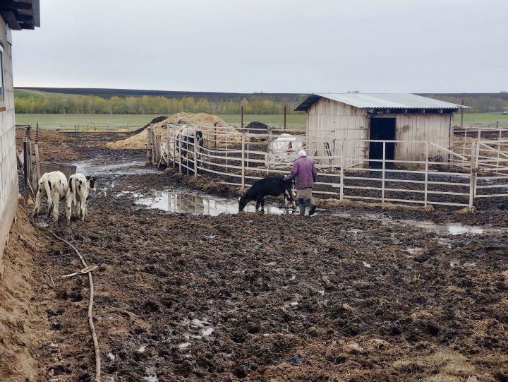 Тукай районы: Зур өметләр баглап язмышка