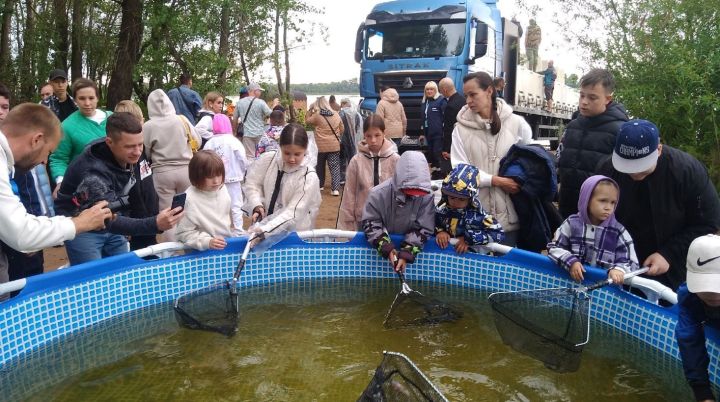 В Тукаевском районе: Нижнекамское предприятие «СИБУР» выпустило стерлядь в Каму