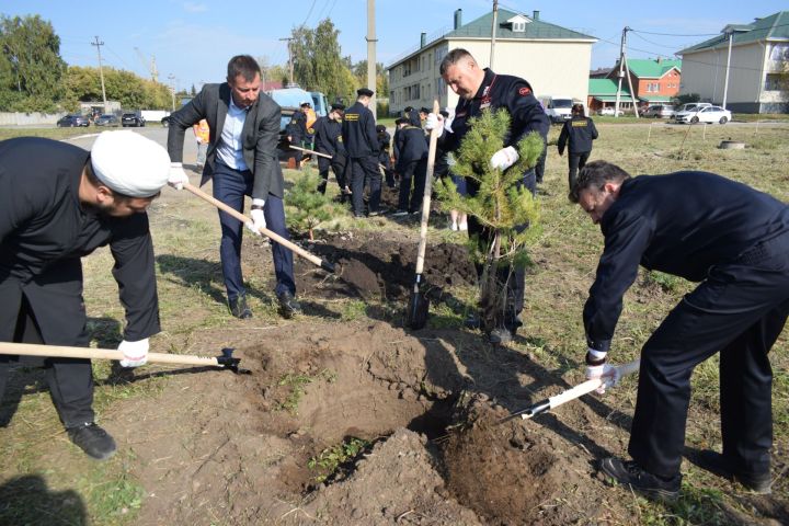 150 лет Куйбышевской железной дороги: празднование с высадкой 150 деревьев