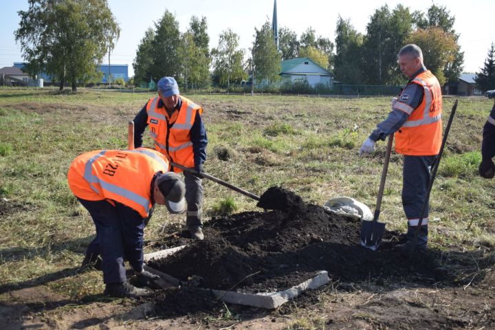 150 лет Куйбышевской железной дороги: празднование с высадкой 150 деревьев