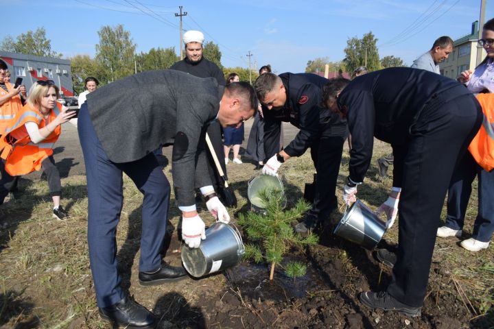 150 лет Куйбышевской железной дороги: празднование с высадкой 150 деревьев