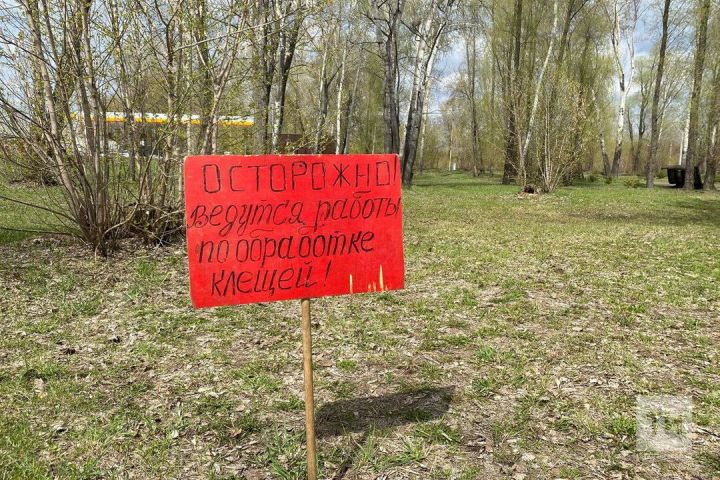Роспотребнадзор предупреждает о пике активности клещей