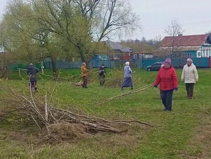 Чистый двор без штрафных санкций: как законно избавиться от веток в майские праздники