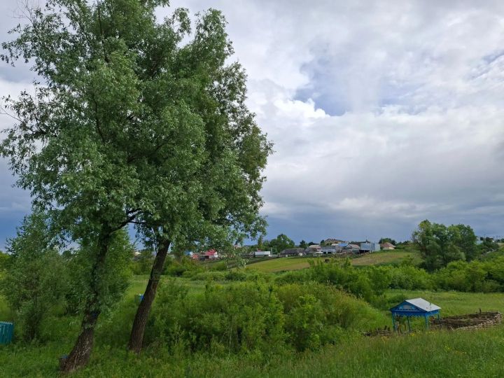 Иң якын дустым иремне тартып алды