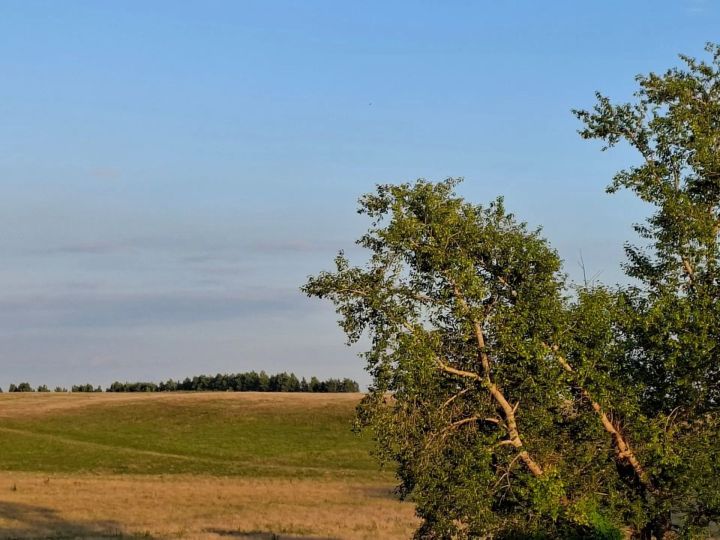 Татарстанда ял көнендә көчле яңгырлар һәм боз явуы ихтимал