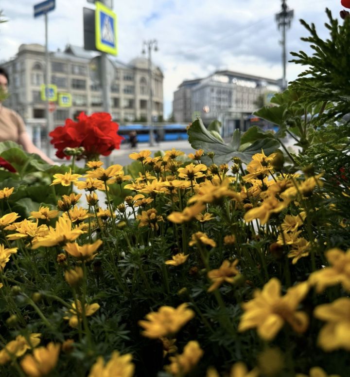 Грандиозный Фестиваль цветов и юбилей города: полная афиша праздника 30 августа в Челнах