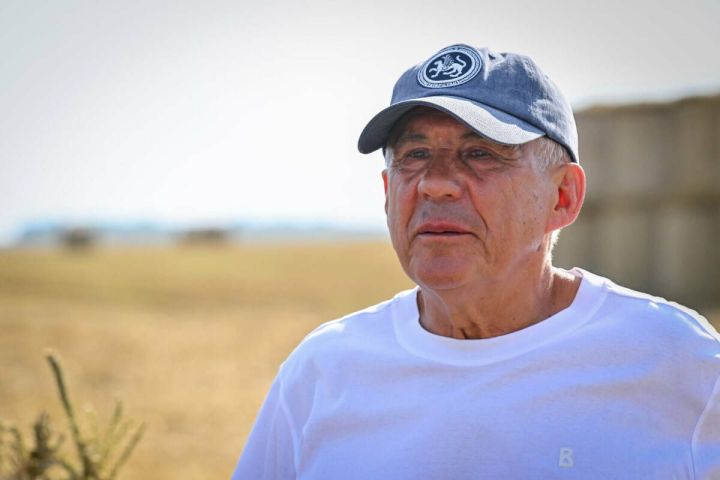 Глава республики о новой платформе: Рустам Минниханов заявил, что человек труда должен быть в авторитете
