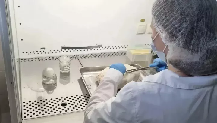 Ветслужба усилила контроль мяса птицы перед стартом сельхозярмарок