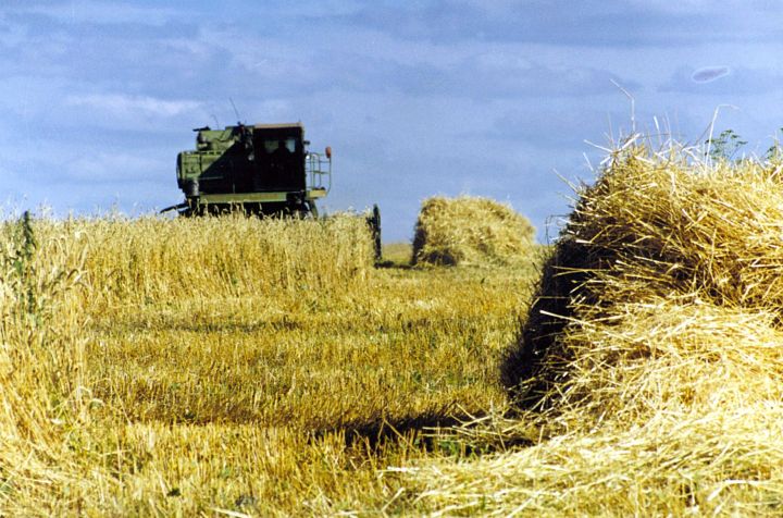 Сельхозпредприятия Тукаевского района вошли в число лидеров