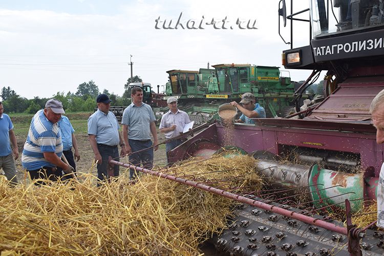 Жатва начинается&nbsp;с парада комбайнов