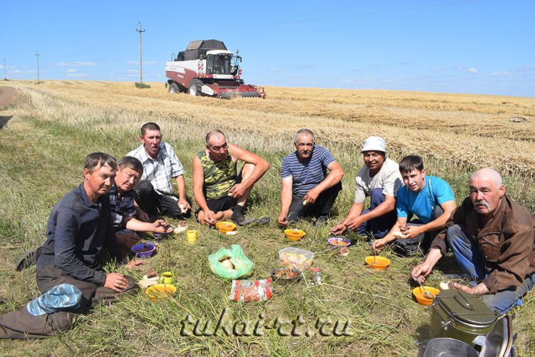 В хозяйстве «Ярыш» и на полях, и в амбарах кипит работа