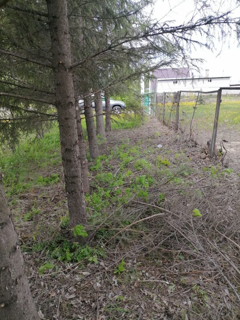 В Мелекесе готовятся к Сабантую