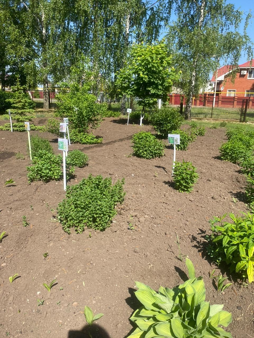 Тукай муниципаль районында «Иң төзекләндерелгән территория» мәгариф оешмалары конкурсы уза