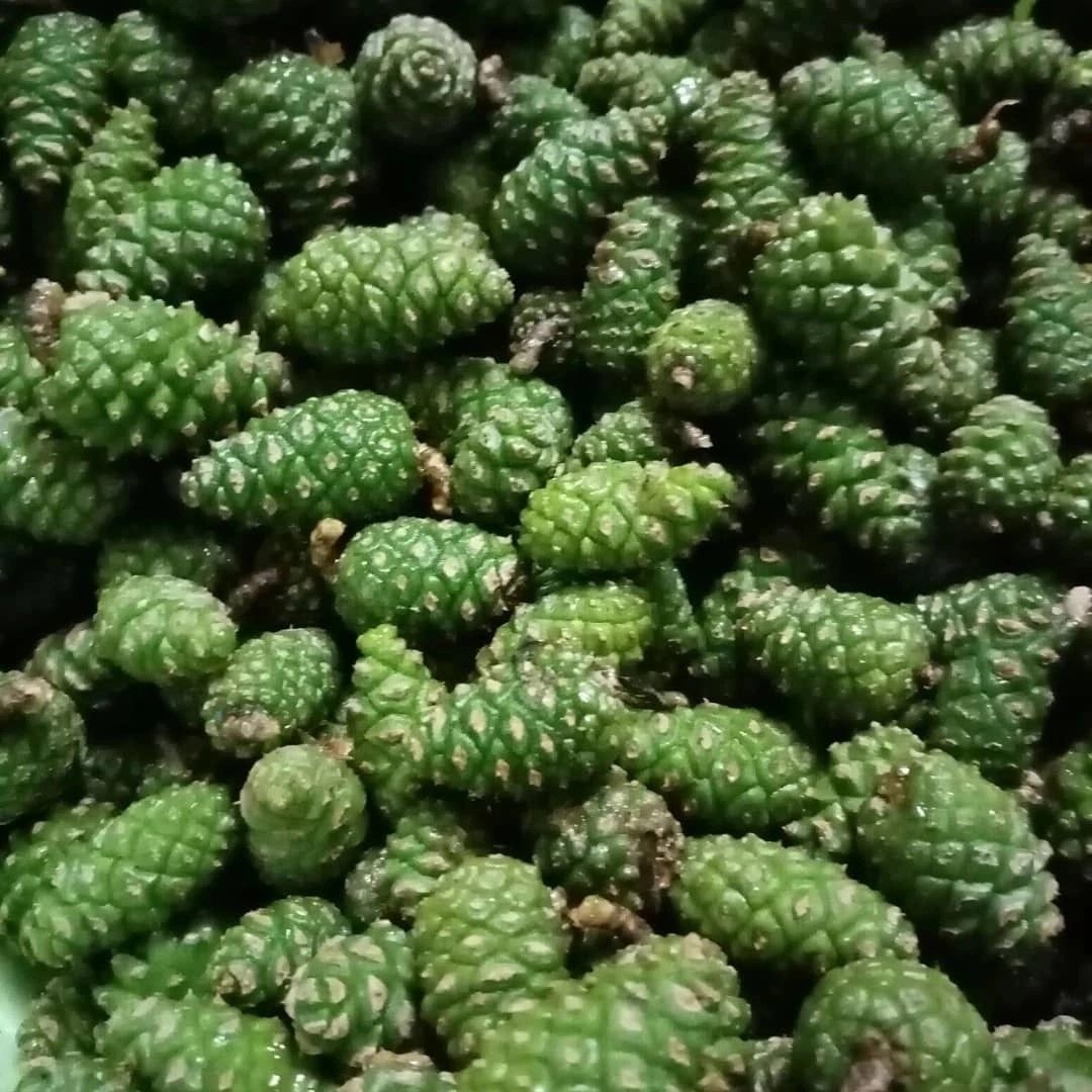 Варенье из шишек