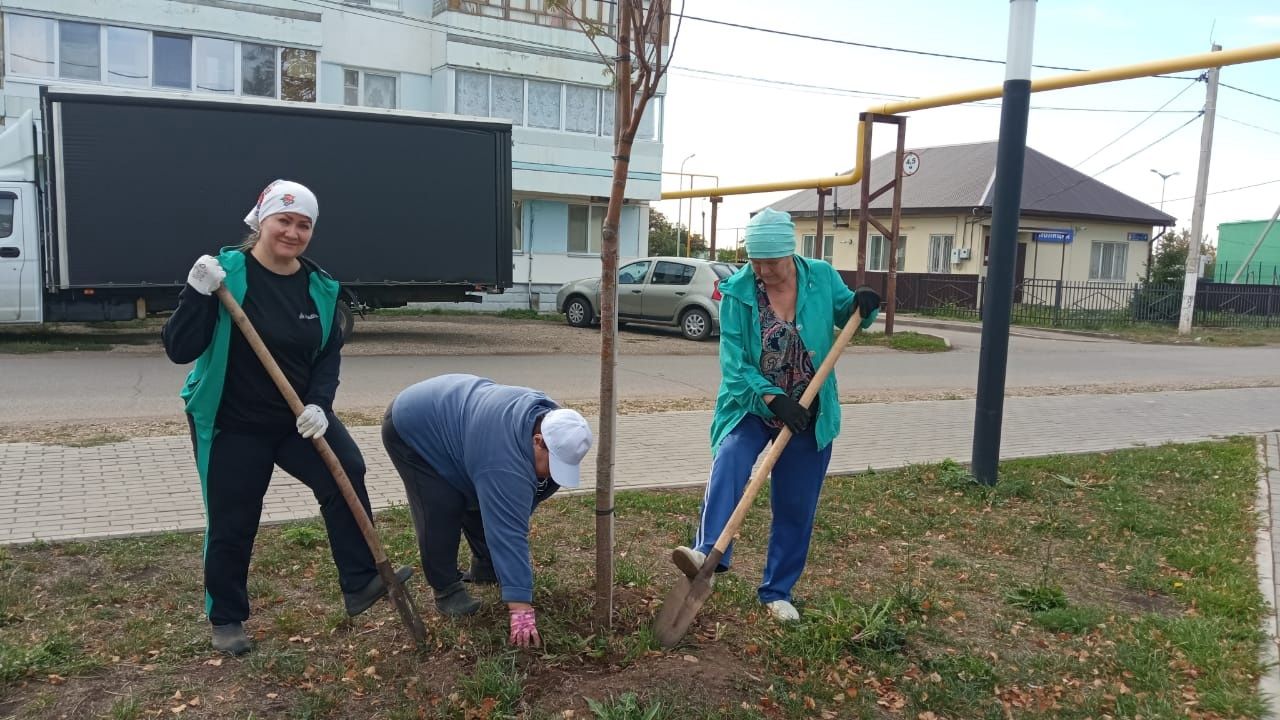 В Князевском сельском поселении прошла экологическая акция «Сделаем краше поселение наше»