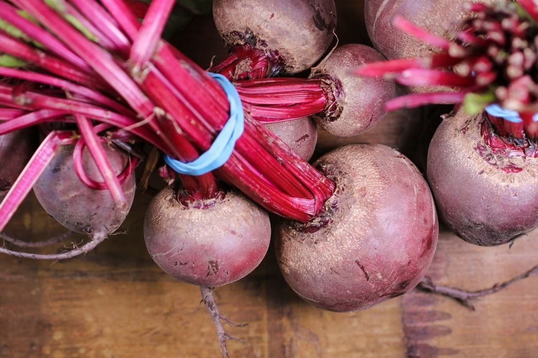 Свекла в 2025 году: лучшие сорта и секреты прогресса роста