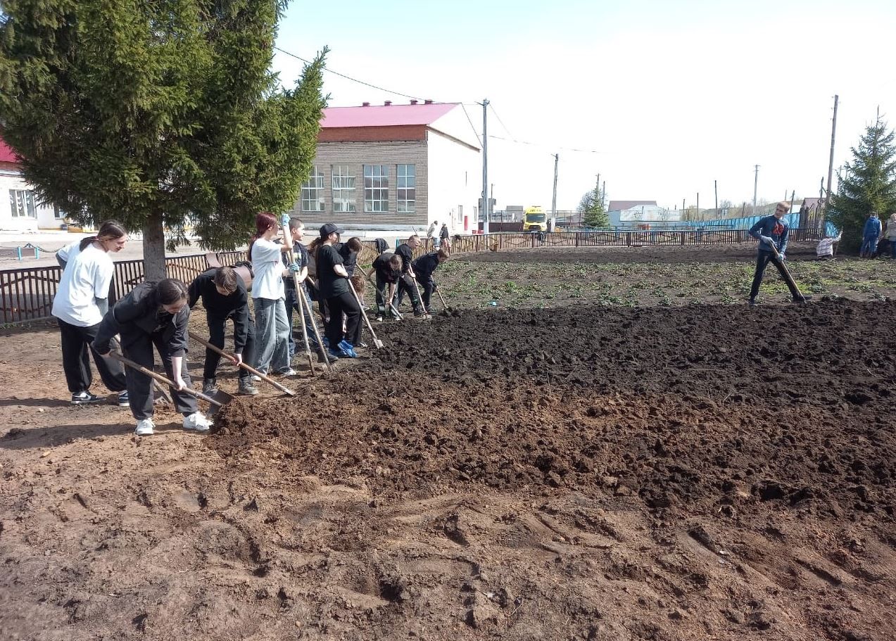 Учащиеся Тлянче-Тамакской школы подготовили грядки для овощей