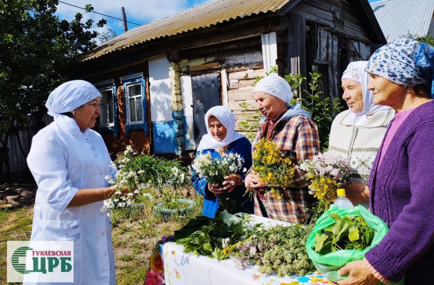 Зеленая аптека у порога: сельчане осваивают искусство травничества