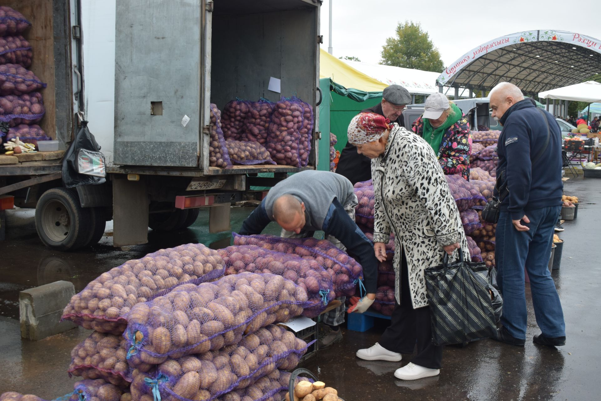 Сельскохозяйственные ярмарки: Где купить качественные продукты по хорошим ценам