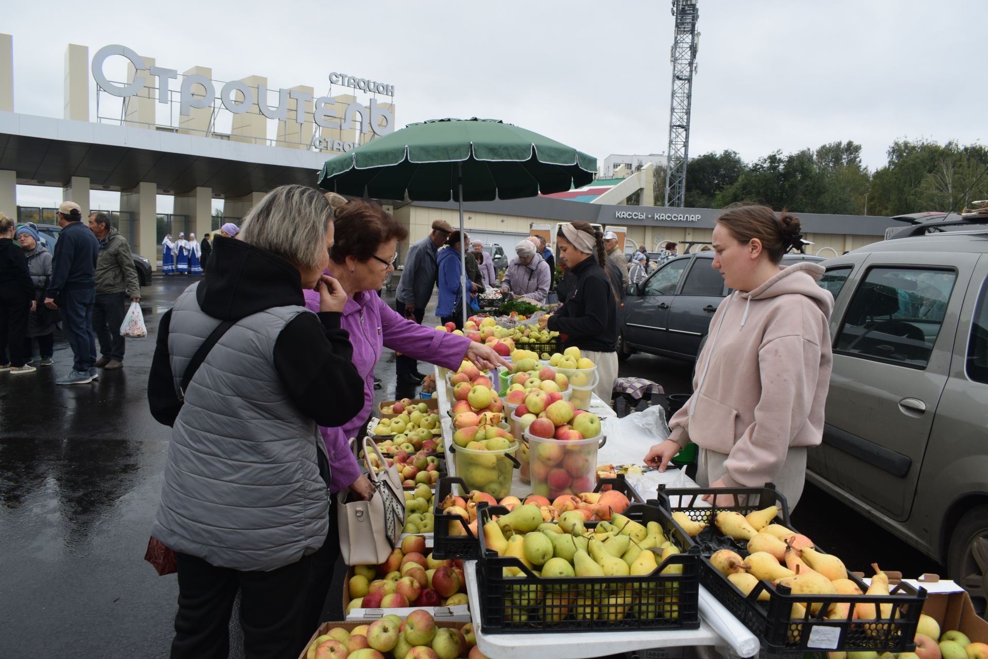 Сельскохозяйственные ярмарки: Где купить качественные продукты по хорошим ценам