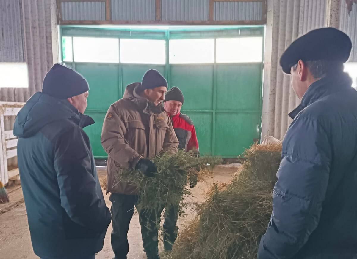 Руководитель Исполнительного комитета Камиль Назмиев посетил ряд сельскохозяйственных предприятий