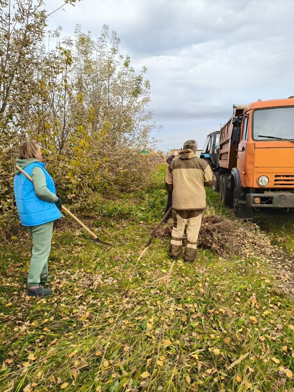 Кайда торсаң, шунда тәртип урнаштыр: Бәткедә масштаблы өмә узды