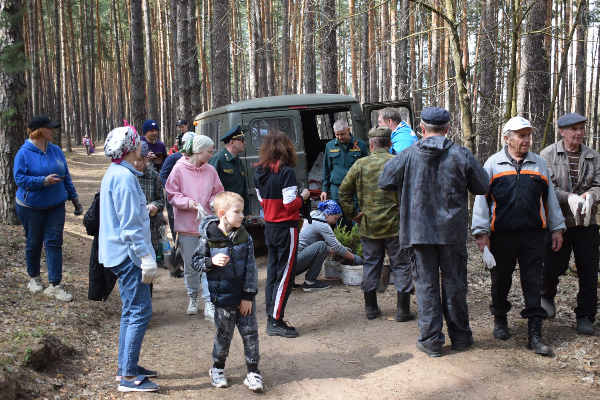 Киләчәк өчен 2000 агач: Тукай районында зур күләмдә чыршы утырту узды