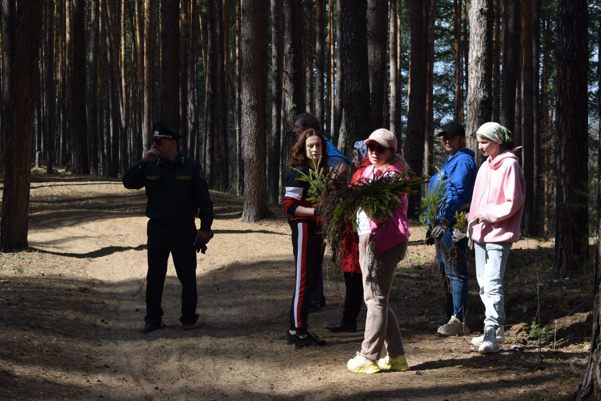 Киләчәк өчен 2000 агач: Тукай районында зур күләмдә чыршы утырту узды