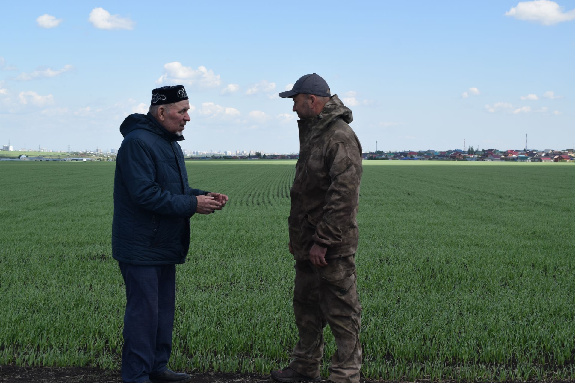 Пусть на столе у каждой семьи будут овощи!