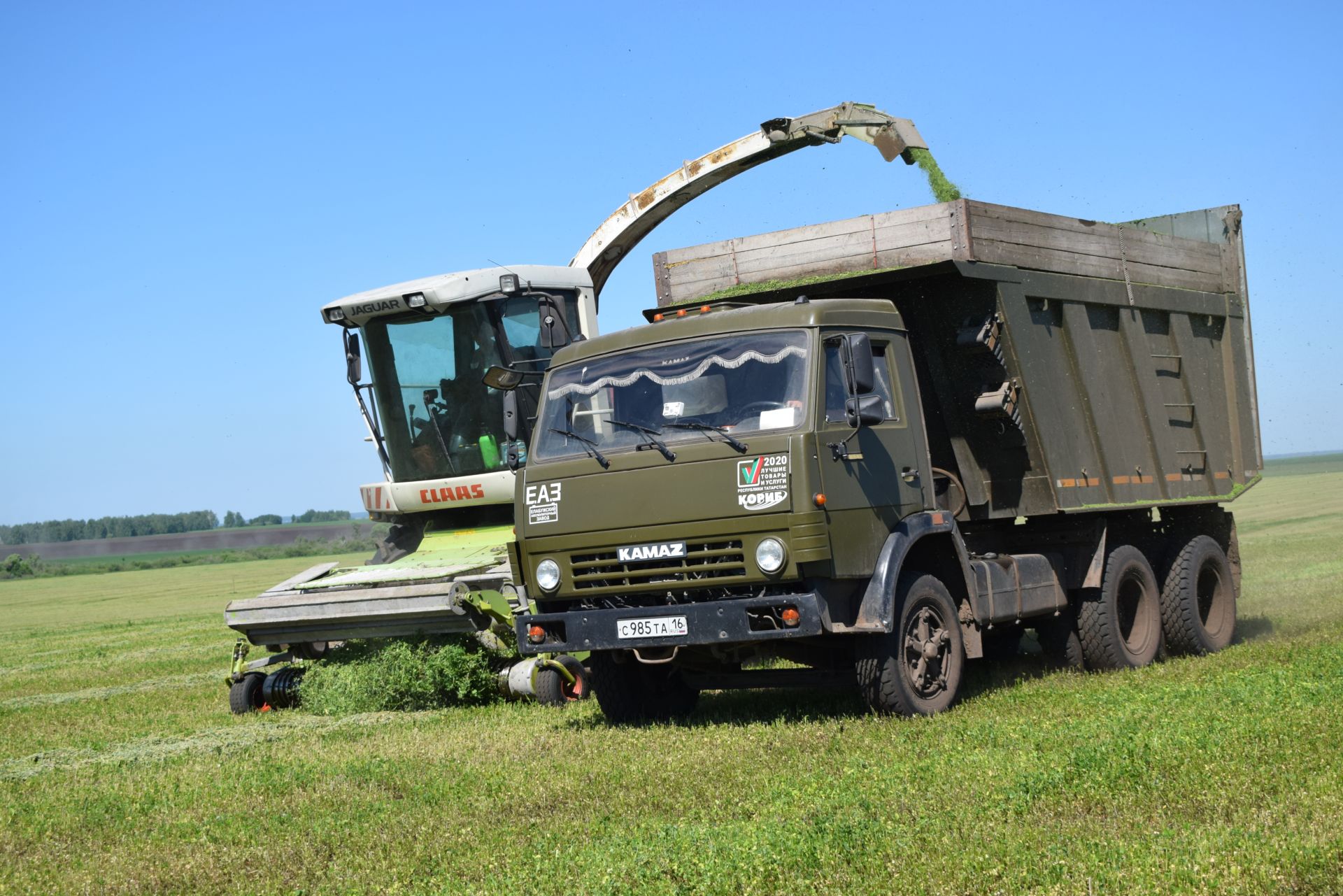 Зеленая жатва