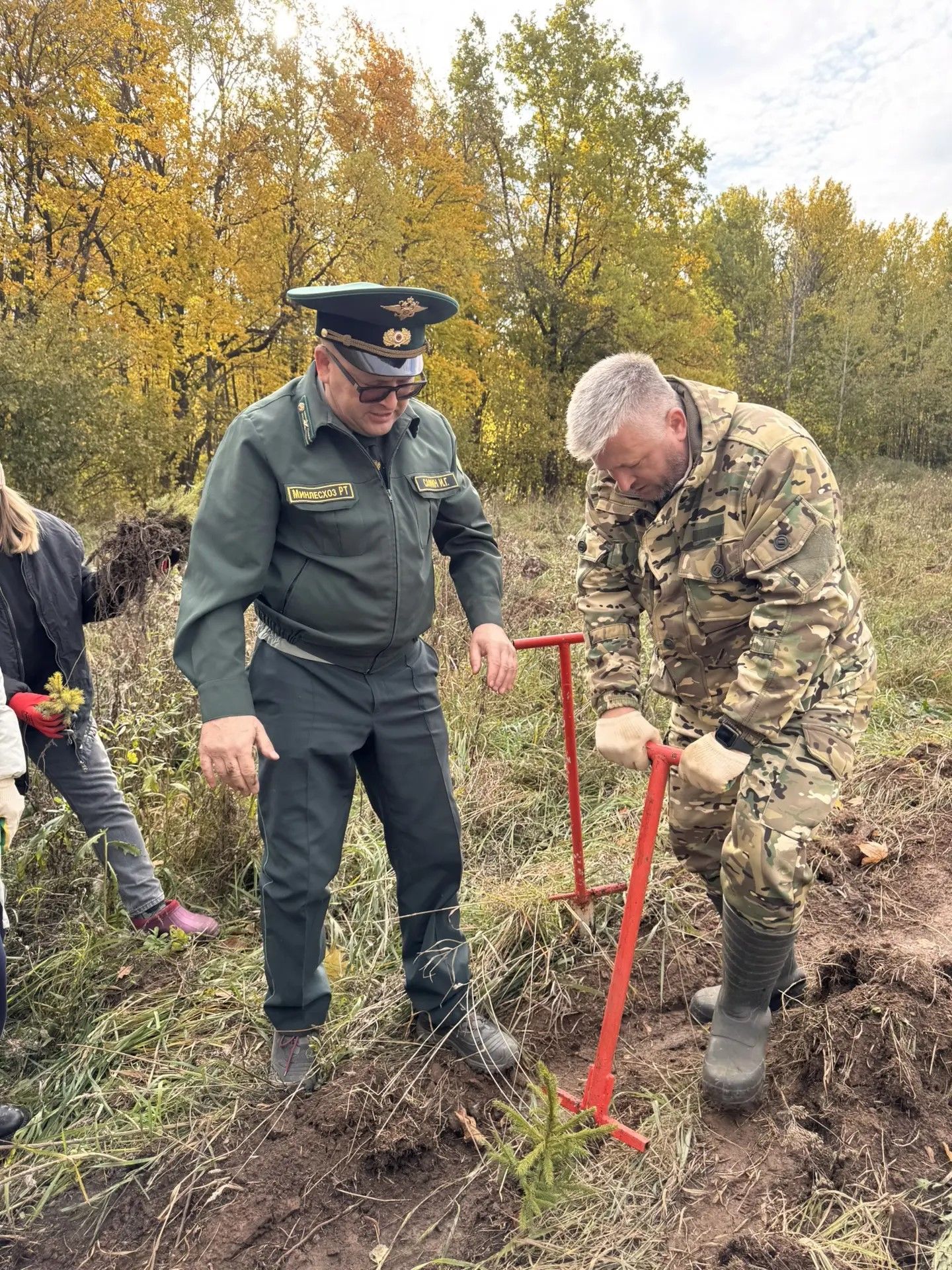В Тукаевском районе высадили две тысячи новых елей