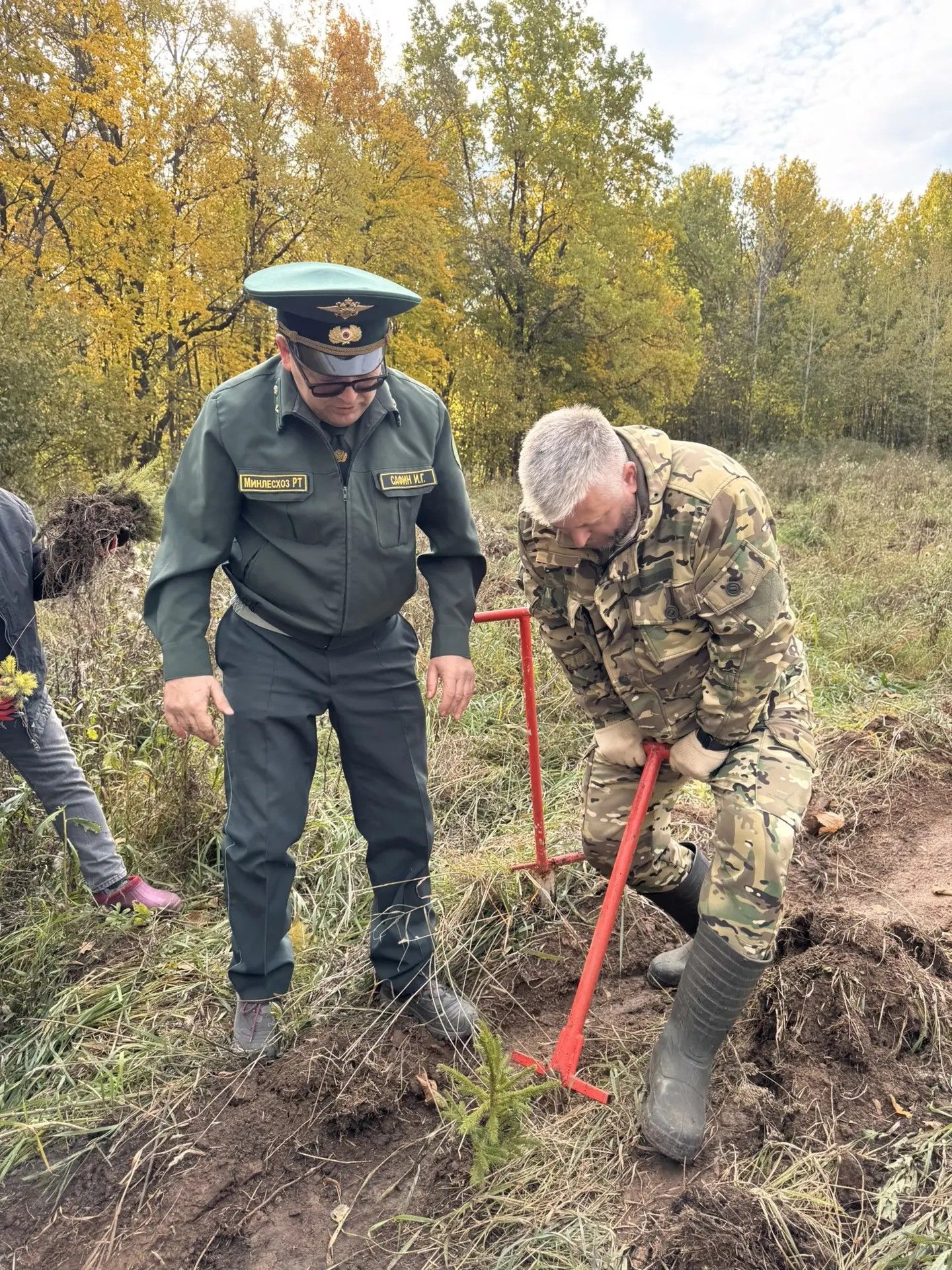 В Тукаевском районе высадили две тысячи новых елей