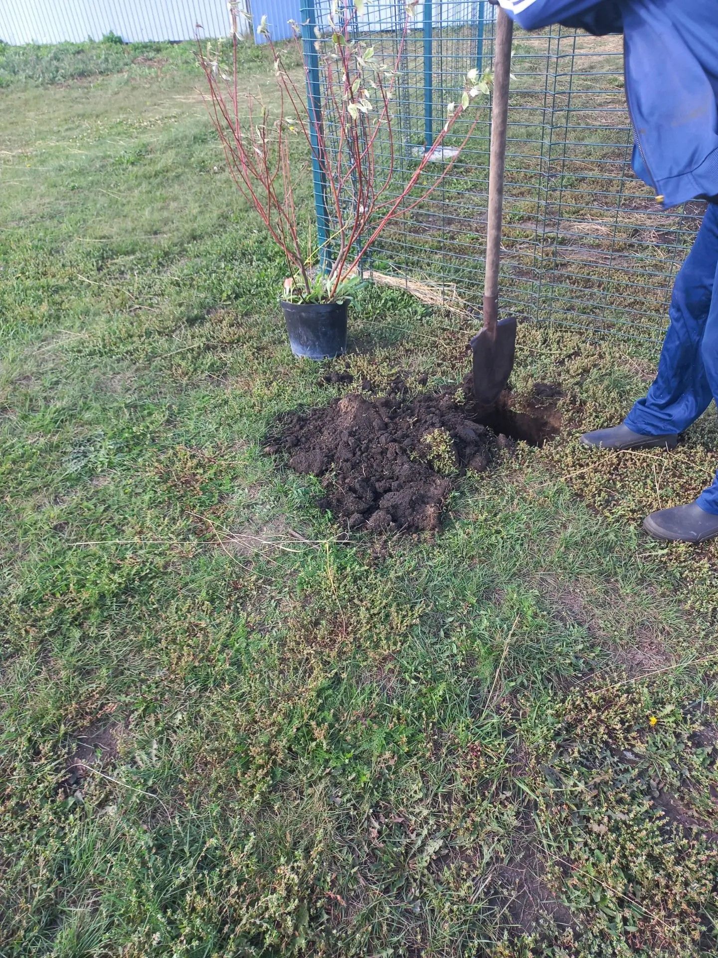 Суровкада грант акчасына һәм халык көче белән заманча балалар мәйданчыгы барлыкка килде