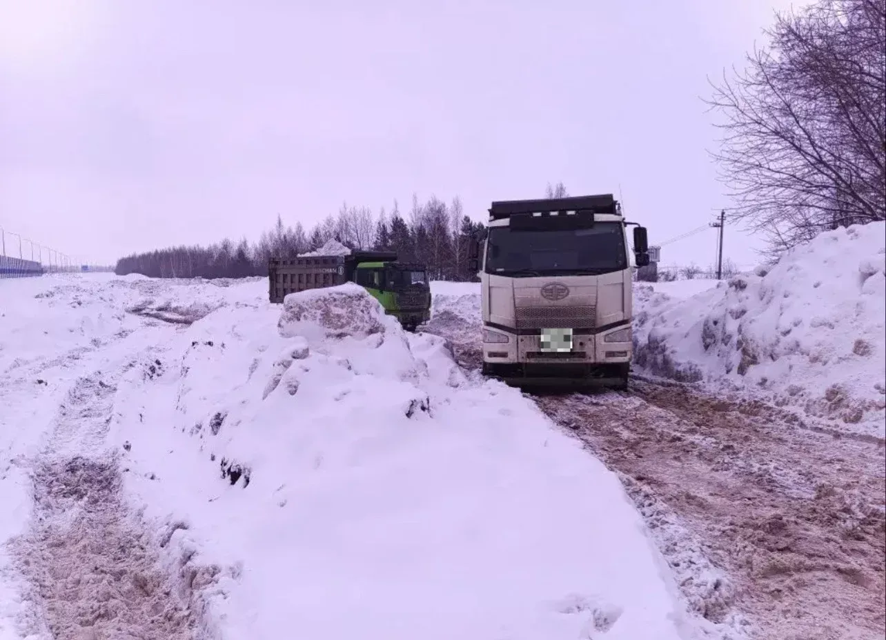Сосновый Бор тирәсендә законсыз кар чүплеге ачыкланды